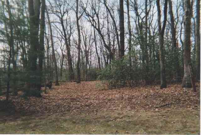 Lot 188 Cliff Ridge Drive Cleveland, SC 29635 - Photo 6 of 9