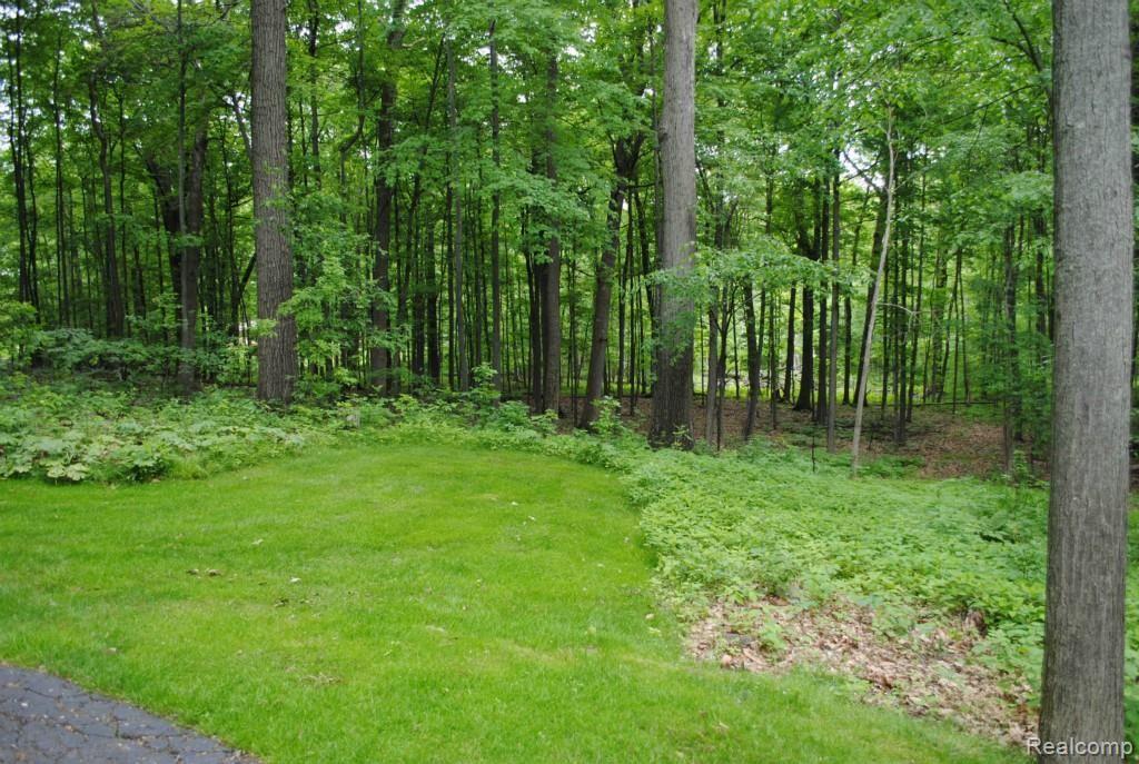 6851 Rattalee Lake Road Clarkston, MI 48348 - Photo 34 of 39 30.jpg