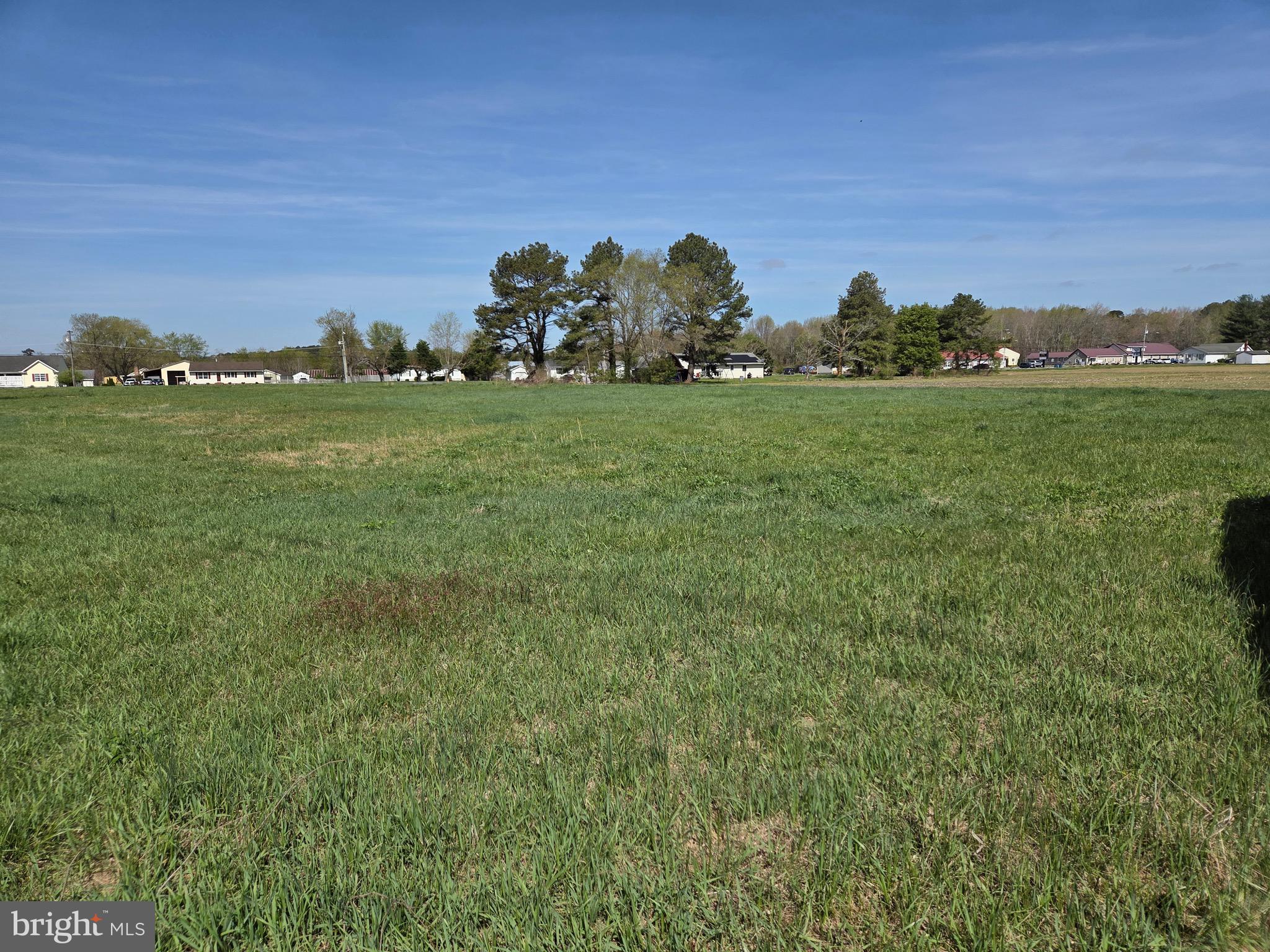 7745 Gumboro Road Pittsville, MD 21850 - Photo 1 of 22 View from Southeast Corner