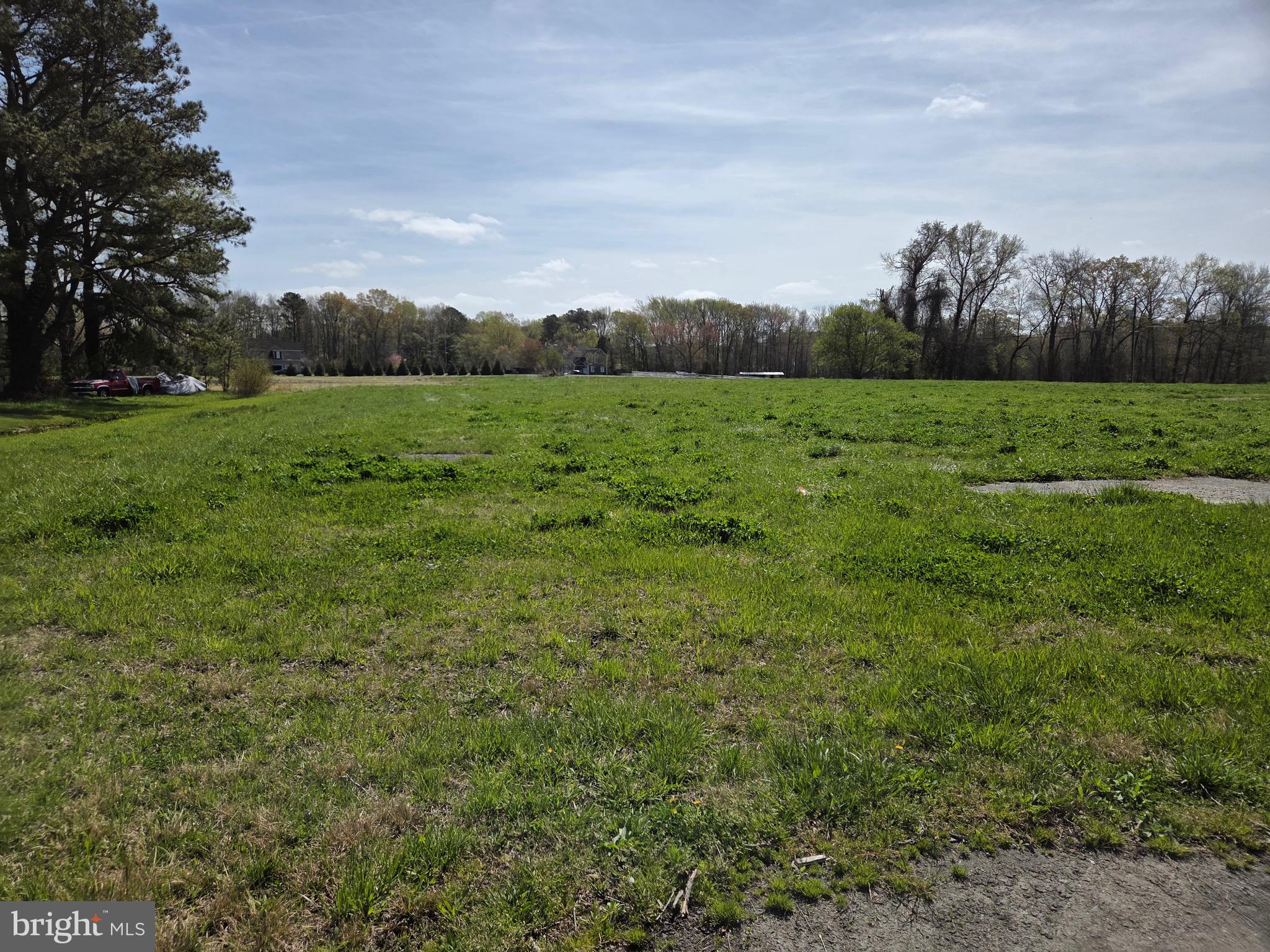 7745 Gumboro Road Pittsville, MD 21850 - Photo 16 of 22 View looking East from NW corner