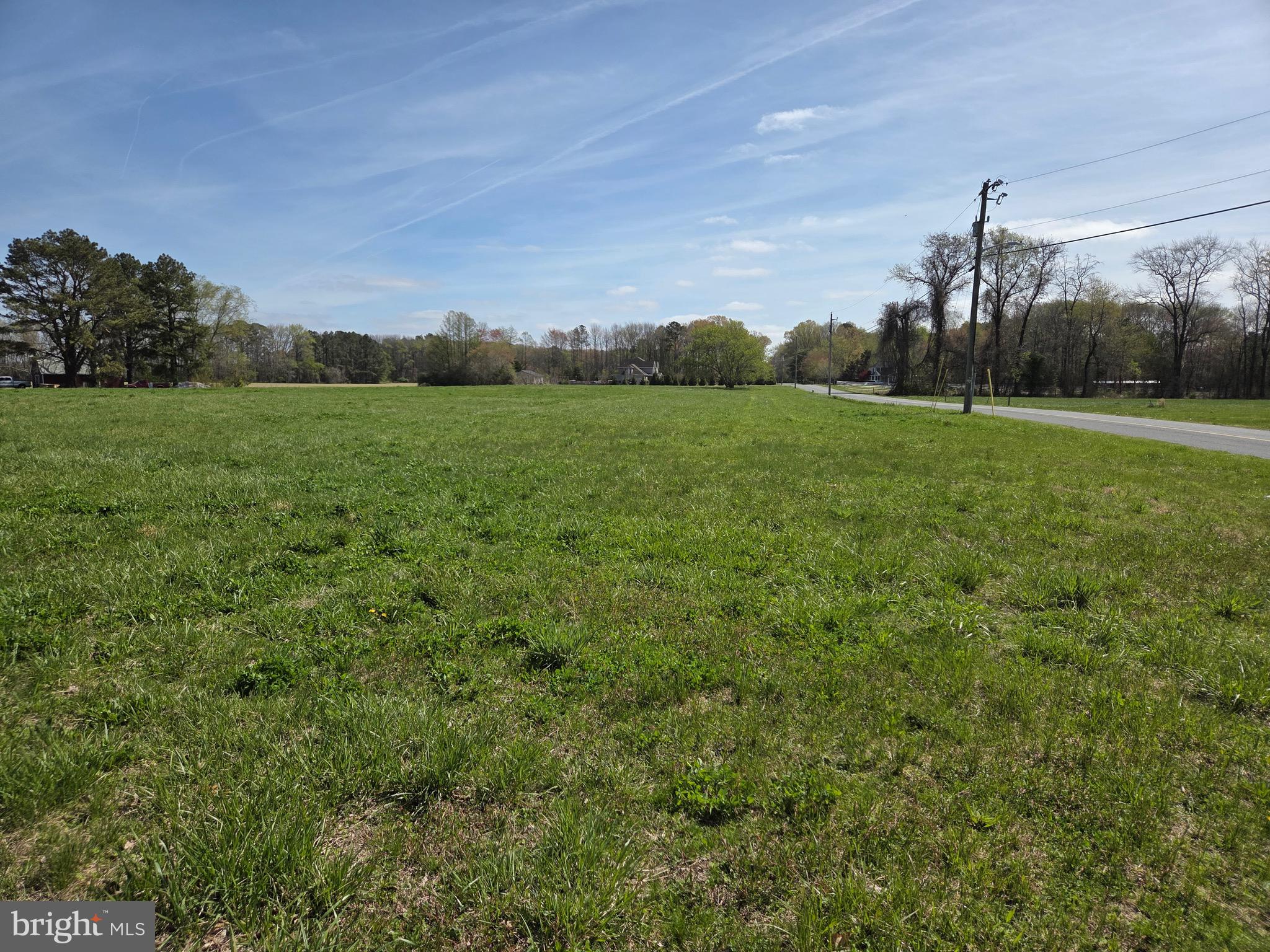 7745 Gumboro Road Pittsville, MD 21850 - Photo 20 of 22 Road Frontage Casher Wells Rd