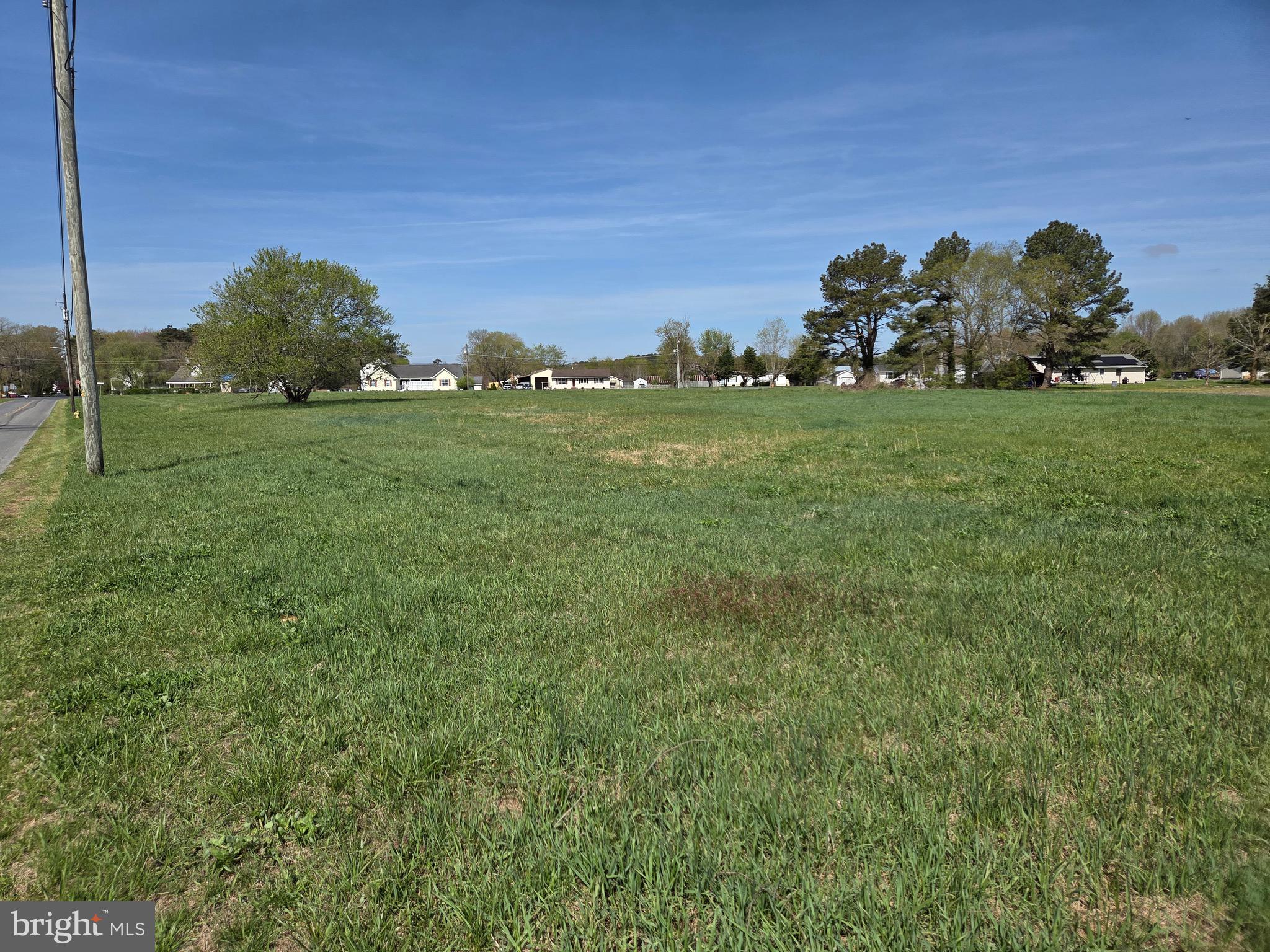 7745 Gumboro Road Pittsville, MD 21850 - Photo 2 of 22 View from SE to West