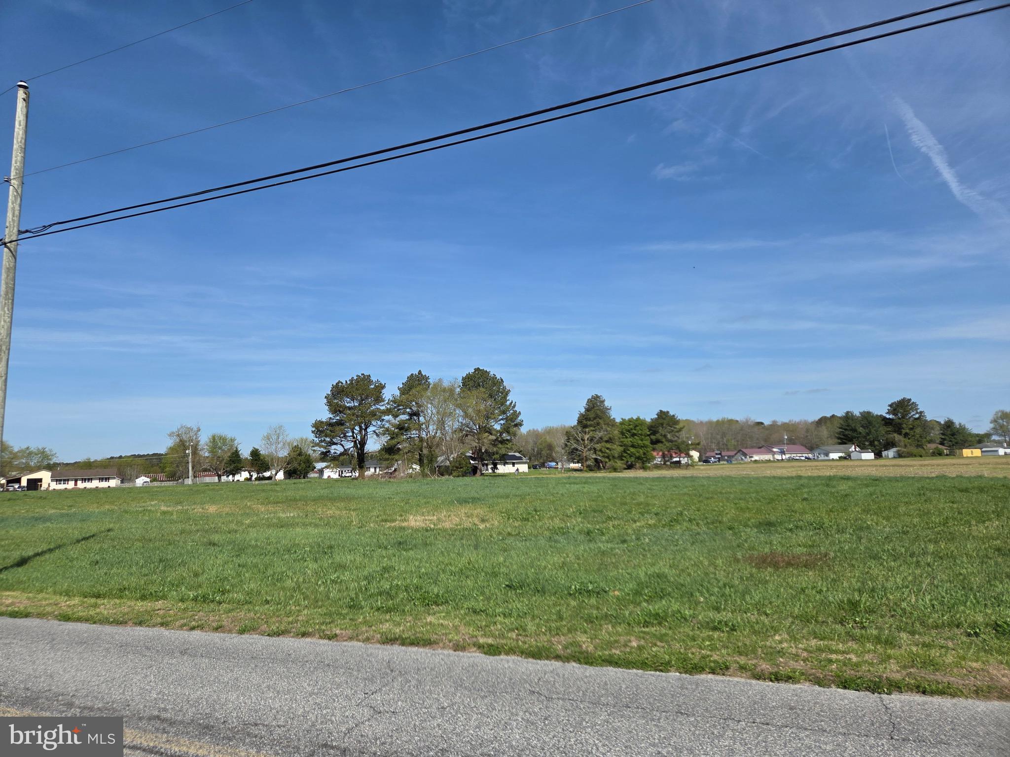 7745 Gumboro Road Pittsville, MD 21850 - Photo 5 of 22 View from SE looking NW