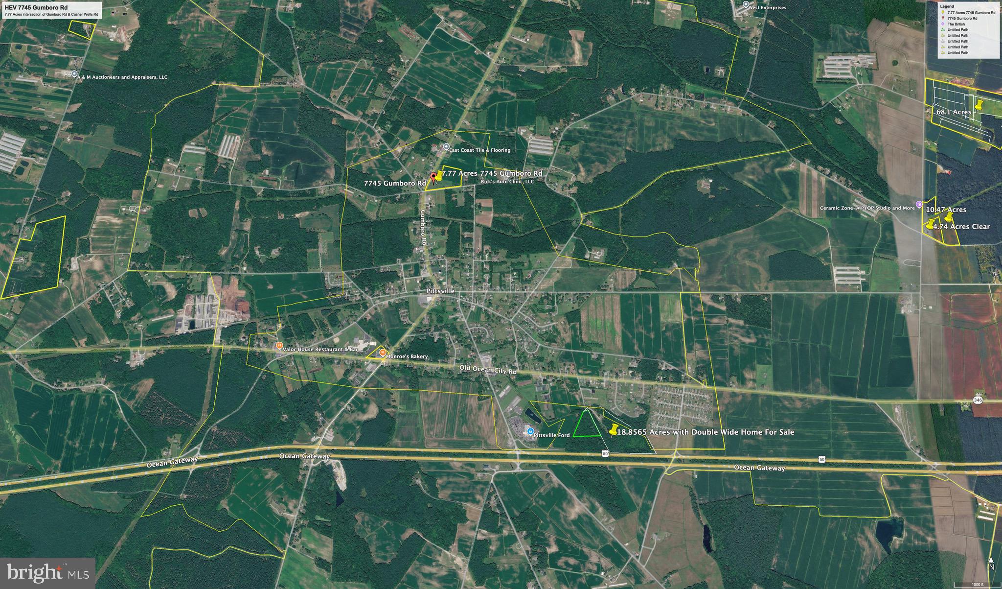 7745 Gumboro Road Pittsville, MD 21850 - Photo 7 of 22