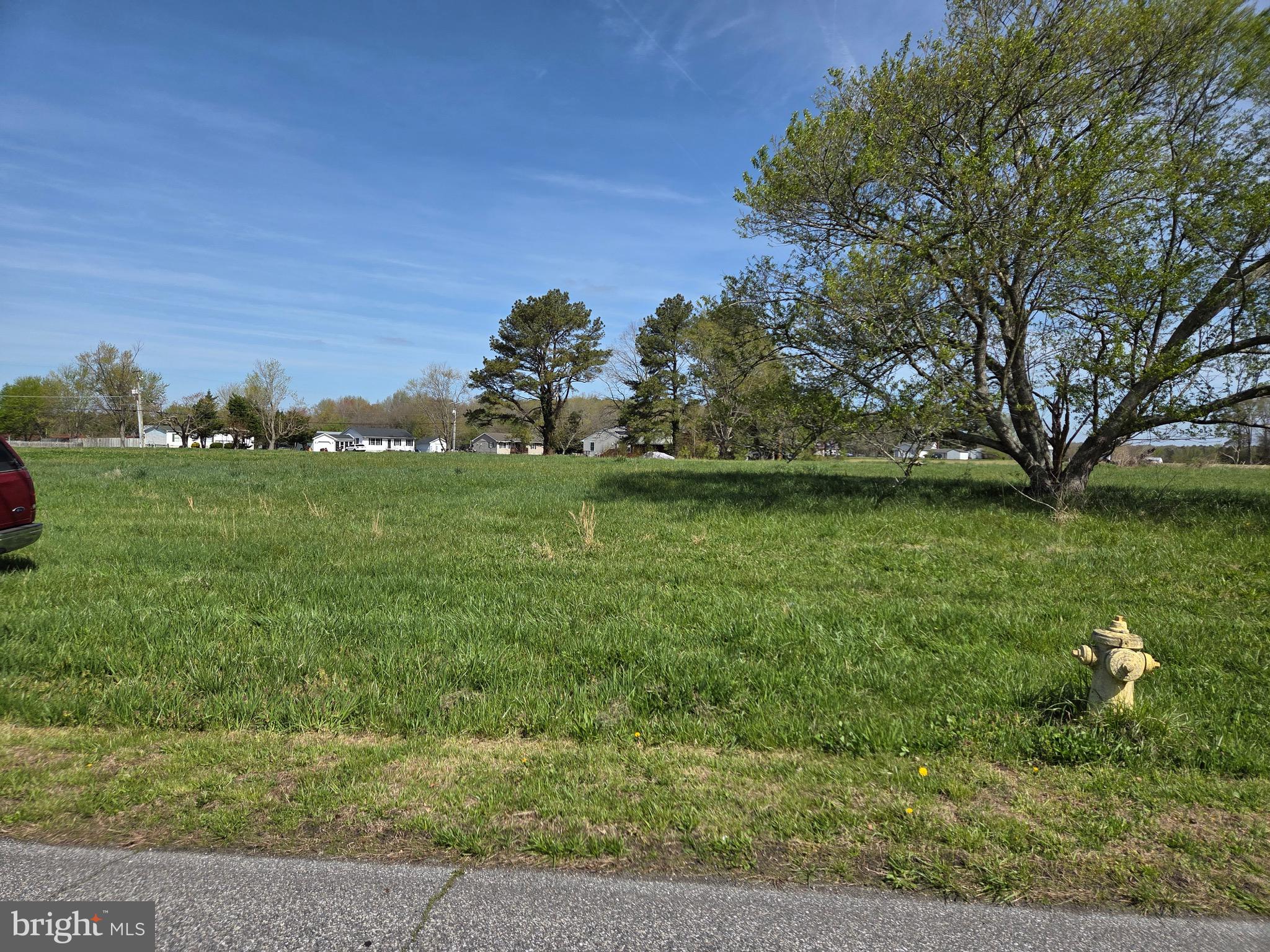7745 Gumboro Road Pittsville, MD 21850 - Photo 8 of 22 View from County Rd looking North