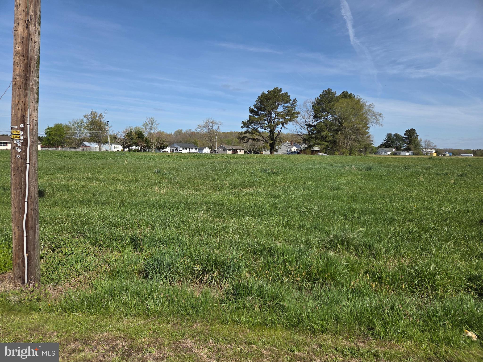 7745 Gumboro Road Pittsville, MD 21850 - Photo 9 of 22 View from Rd Looking NW