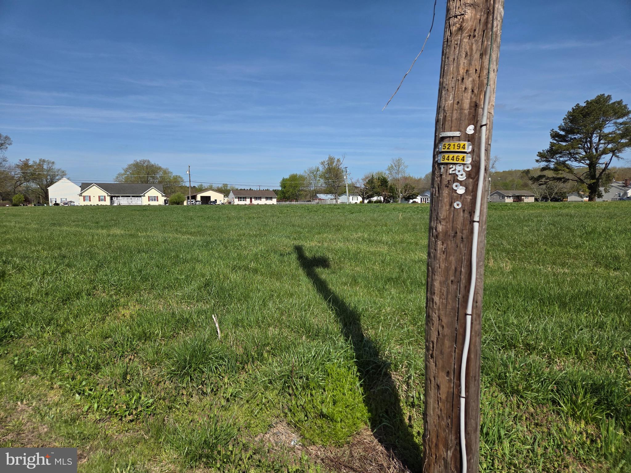 7745 Gumboro Road Pittsville, MD 21850 - Photo 10 of 22 View looking west from SE