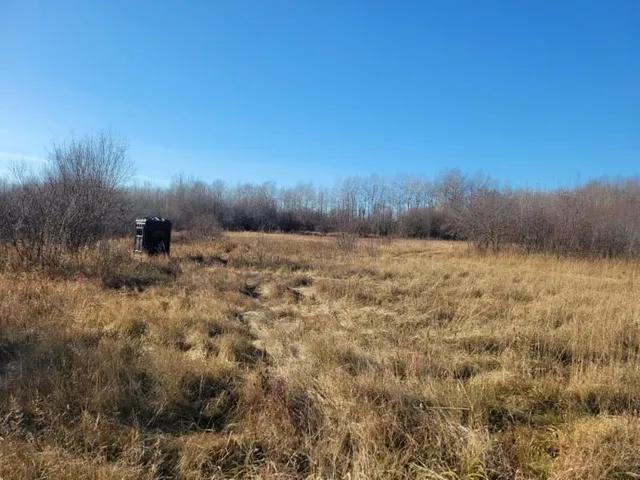 $69,000 | Xxx 29th Avenue Southwest, Baudette, MN 56623