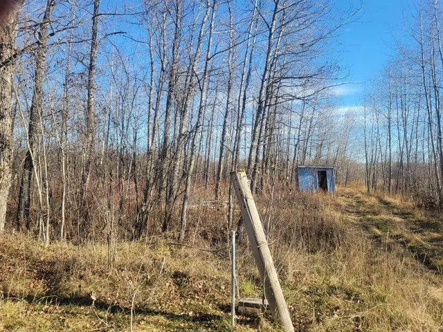 $69,000 | Xxx 29th Avenue Southwest, Baudette, MN 56623