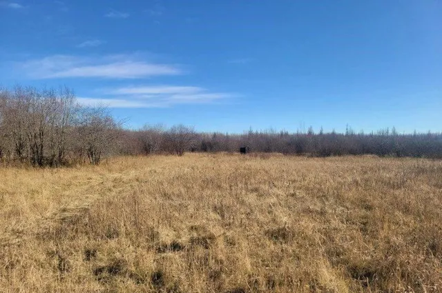 $69,000 | Xxx 29th Avenue Southwest, Baudette, MN 56623