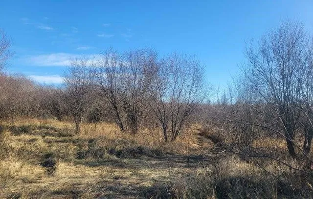 $69,000 | Xxx 29th Avenue Southwest, Baudette, MN 56623