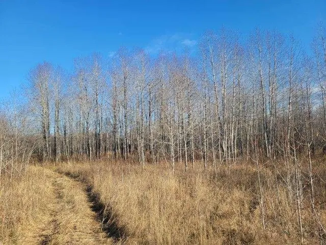 $69,000 | Xxx 29th Avenue Southwest, Baudette, MN 56623