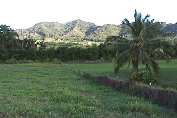 6271 Kalama Road Kapaa, HI 96746 - Photo 1 of 1 a view of a outdoor space