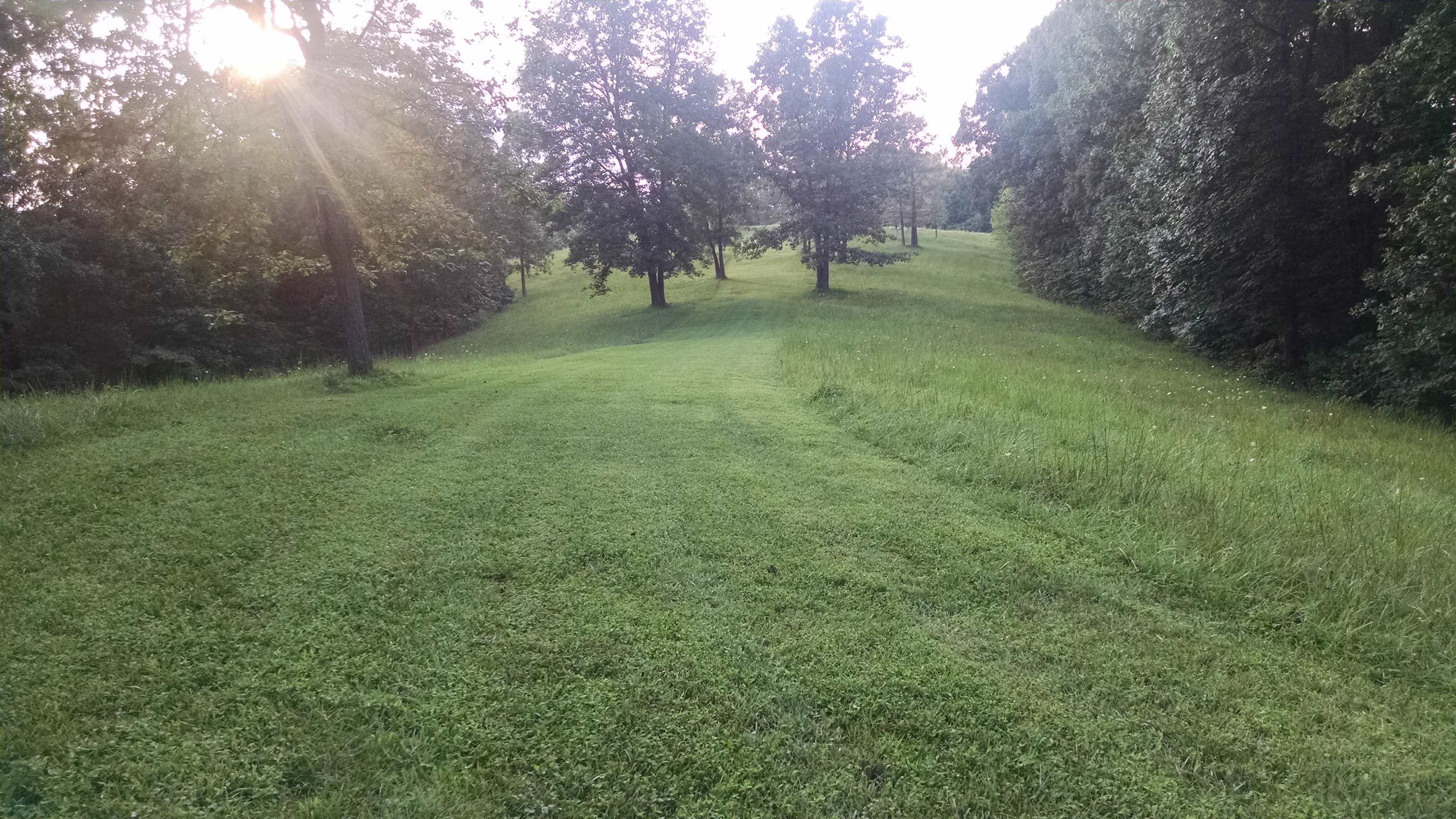 327 Mudlick Branch Road Louisa, KY 41230 - Photo 6 of 23