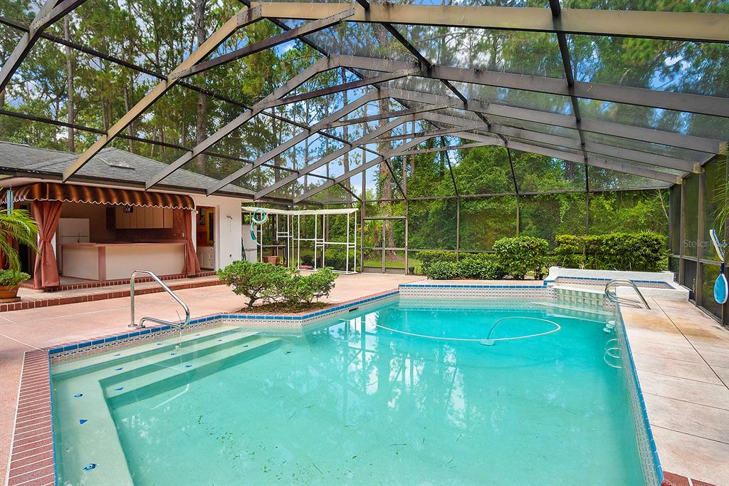 6049 Patricia Place Weeki Wachee, FL 34607 - Photo 40 of 57