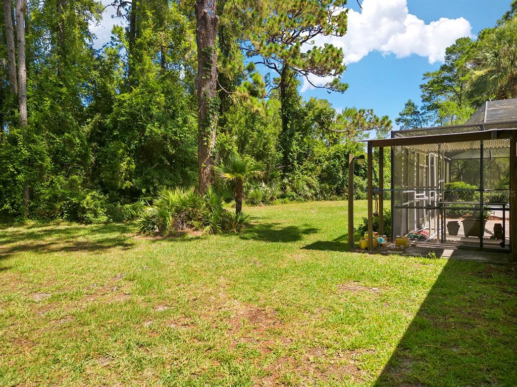 6049 Patricia Place Weeki Wachee, FL 34607 - Photo 51 of 57