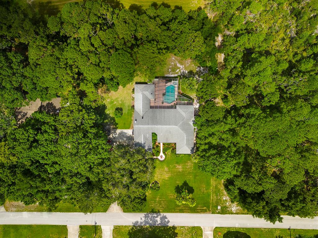 6049 Patricia Place Weeki Wachee, FL 34607 - Photo 54 of 57