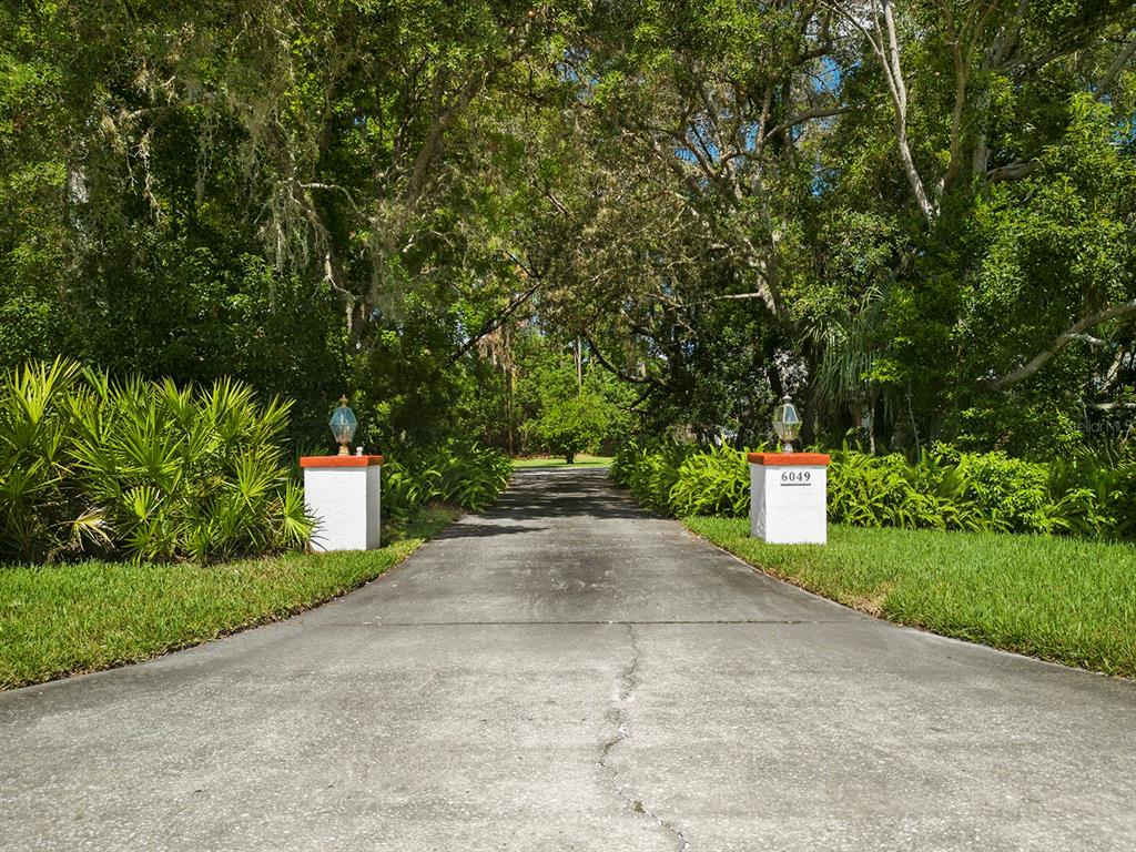 6049 Patricia Place Weeki Wachee, FL 34607 - Photo 7 of 57