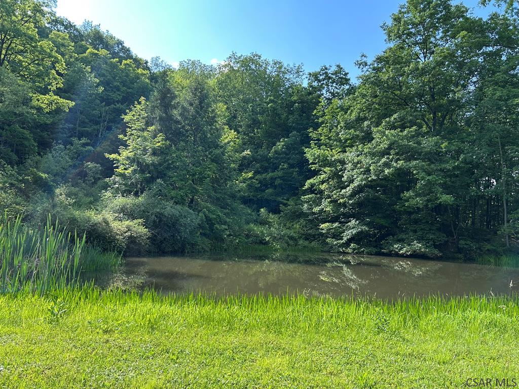 4627 Water Level Road Rockwood, PA 15557 - Photo 23 of 28