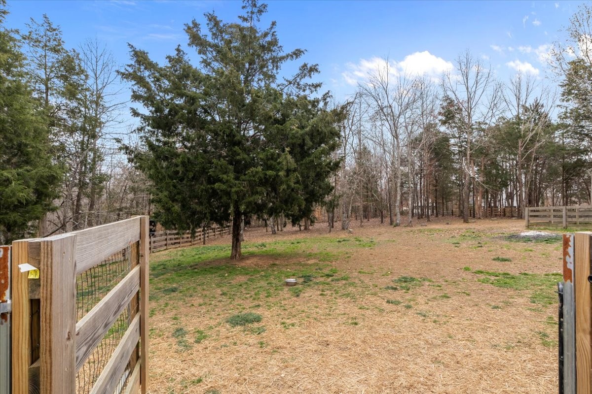 8006 Rose Ridge Pvt Lane Fairview, TN 37062 - Photo 44 of 87 a view of a yard with a tree