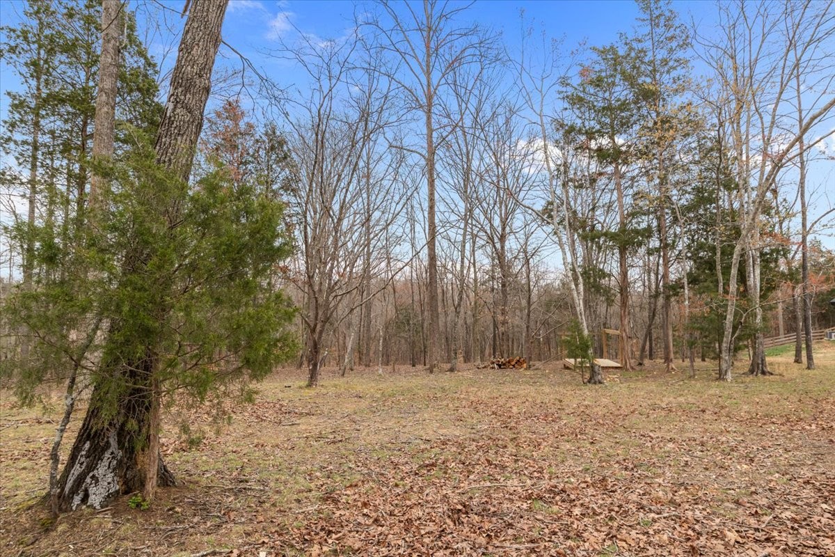 8006 Rose Ridge Pvt Lane Fairview, TN 37062 - Photo 59 of 91