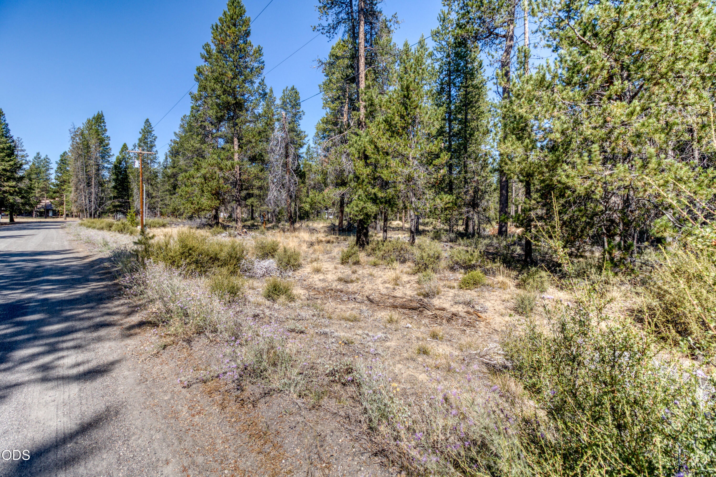 16212 Green Forest Road La Pine, OR 97739 - Photo 2 of 15 Gallery Image 2