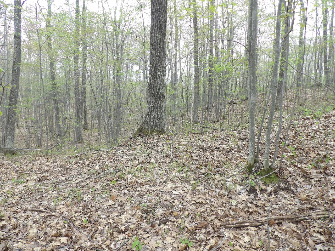 Lot 64 Pine Grove Drive Rhinelander, WI 54501 - Photo 3 of 13 Gallery Image 3