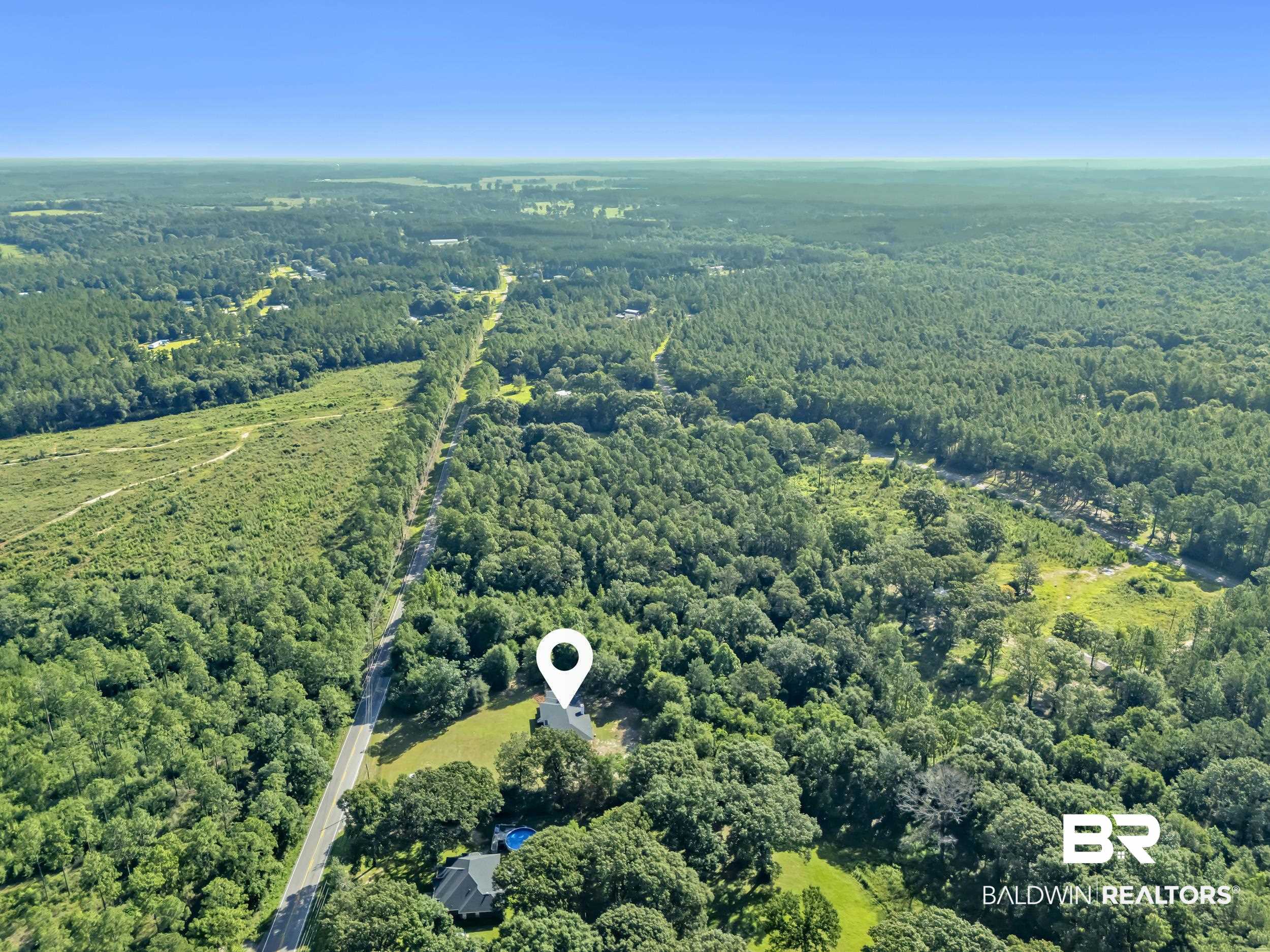 8170 Wilmer Georgetown Road Wilmer, AL 36587 - Photo 31 of 31 Expansive wooded property featuring a single-story residence with a dark roof, a private swimming pool, and mature trees