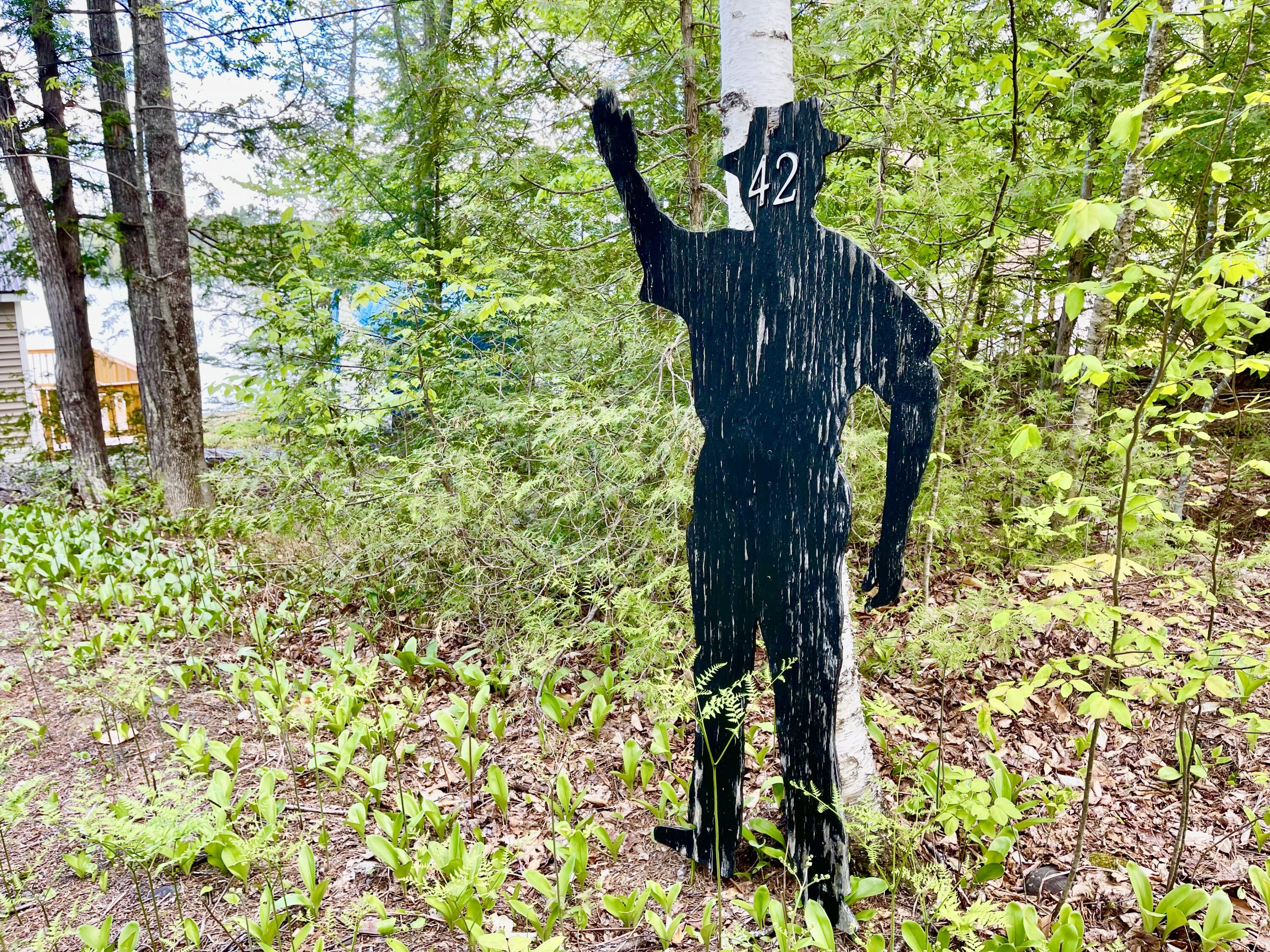 42 South Shore Rd Lake View Milo, ME 04463 - Photo 103 of 118 Hi there! Welcome to the Lake!