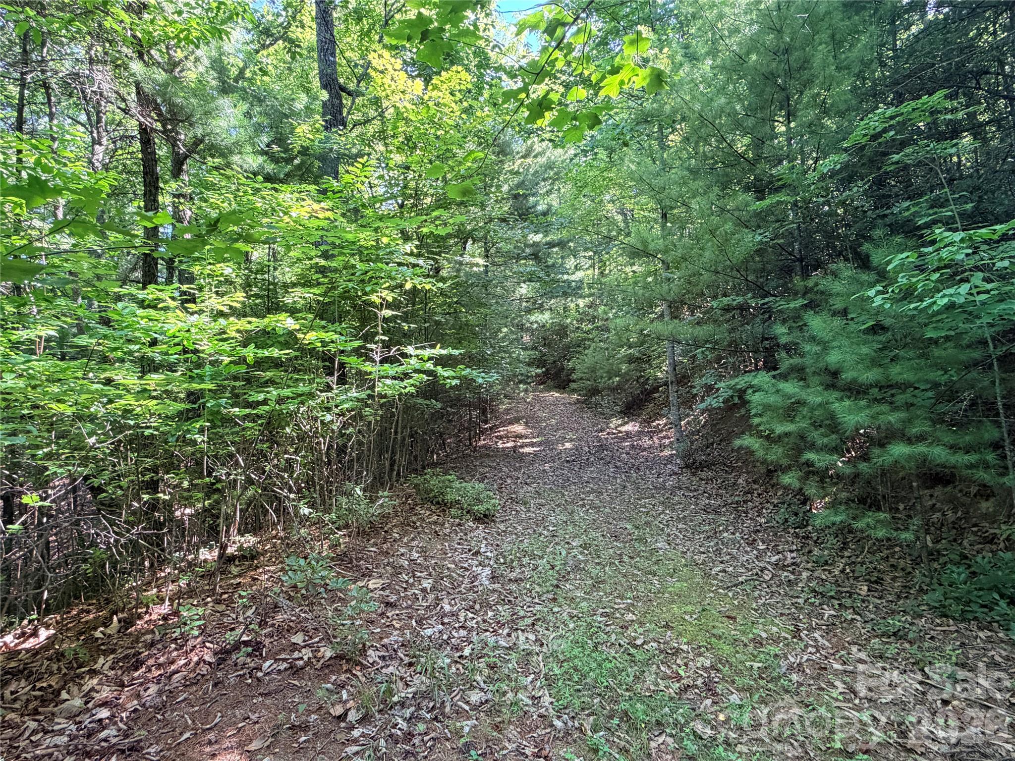 Tbd Blue Rock Road, Unit 171 & 172B Purlear, NC 28665 - Photo 13 of 44