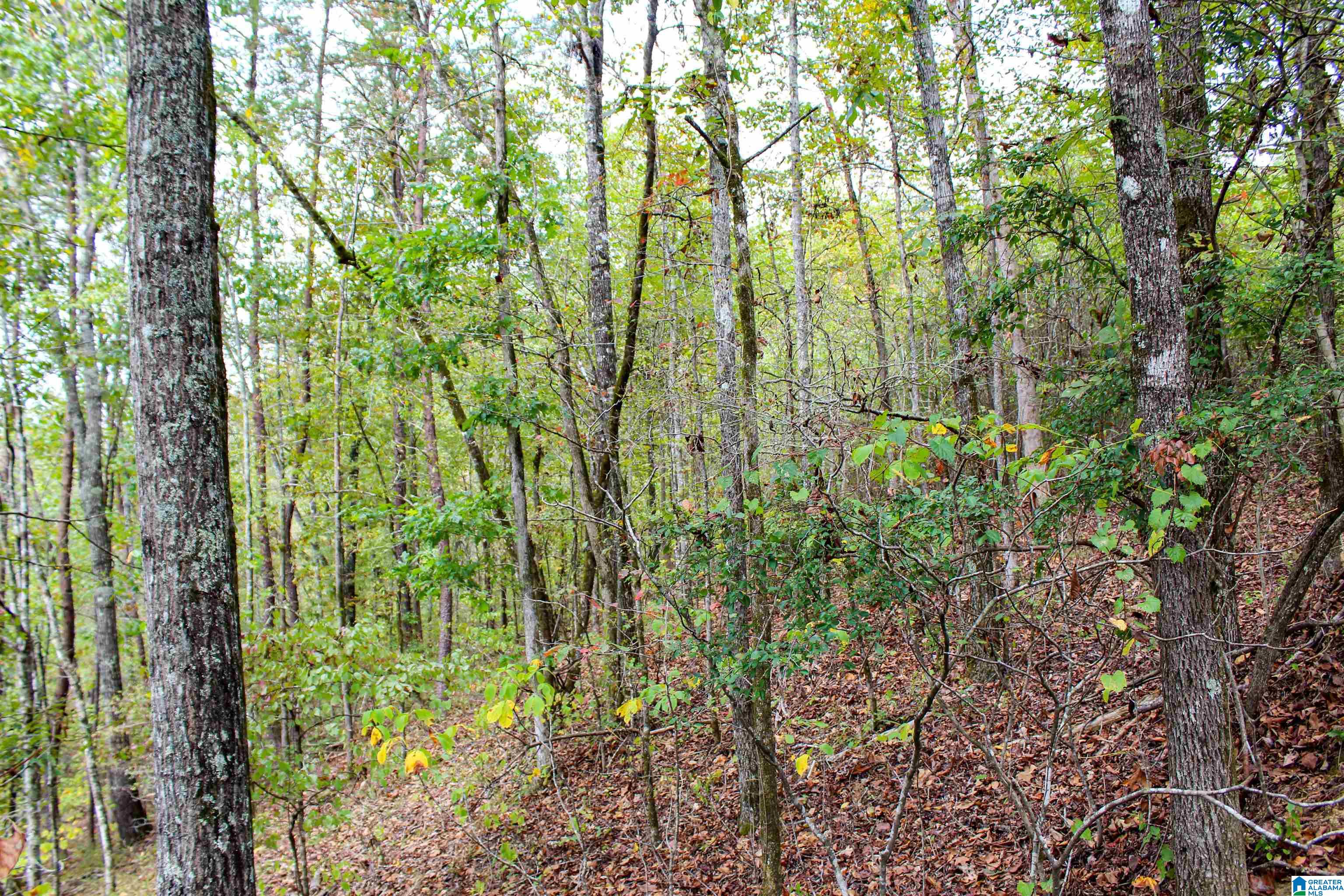 1 Highway 18, Unit 1 Oakman, AL 35579 - Photo 40 of 46