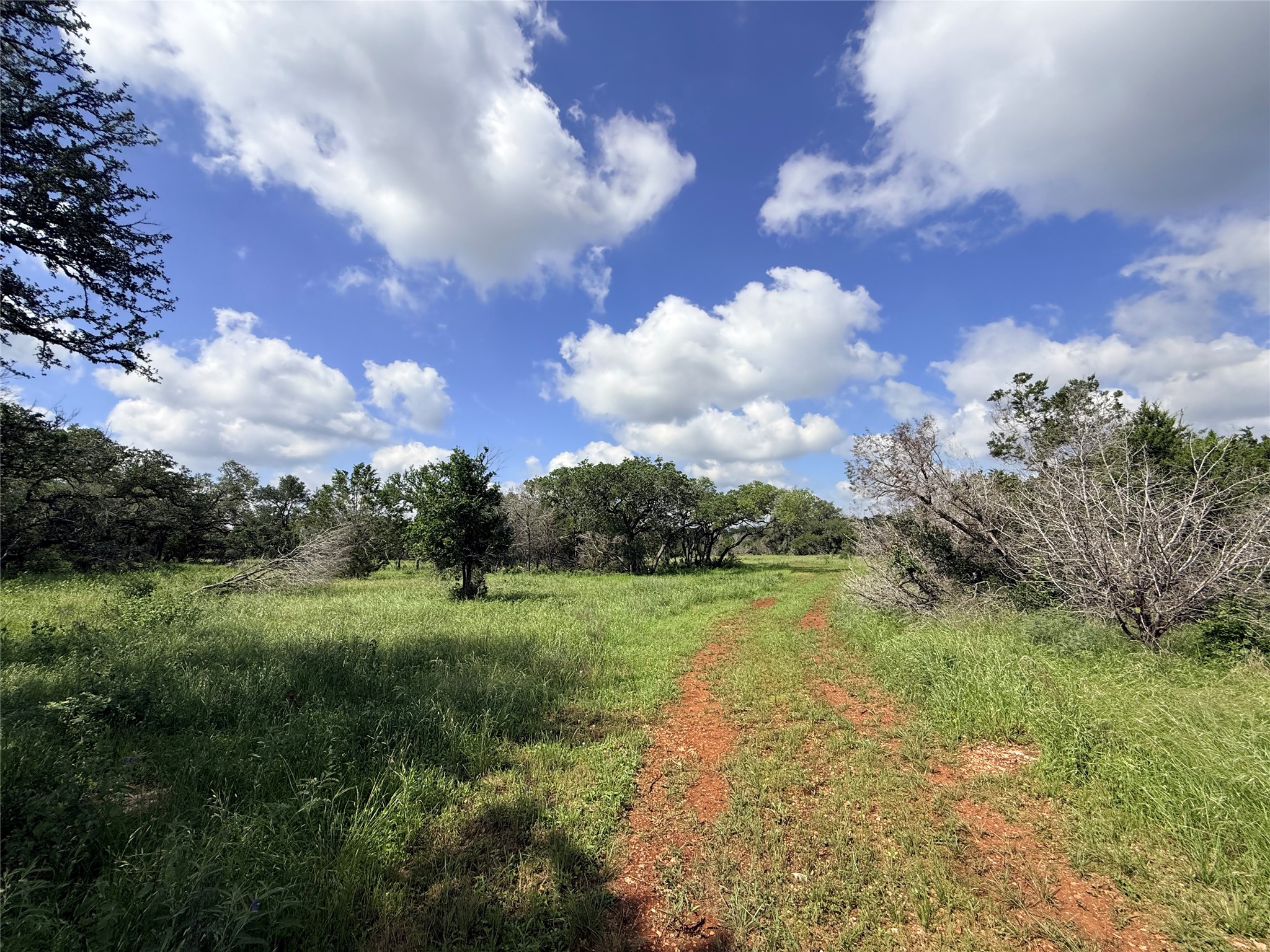 2013 Hilliard Road San Marcos, TX 78666 - Photo 14 of 37 It's easy to access the full property with a road and multiple clearings all the way to the back.