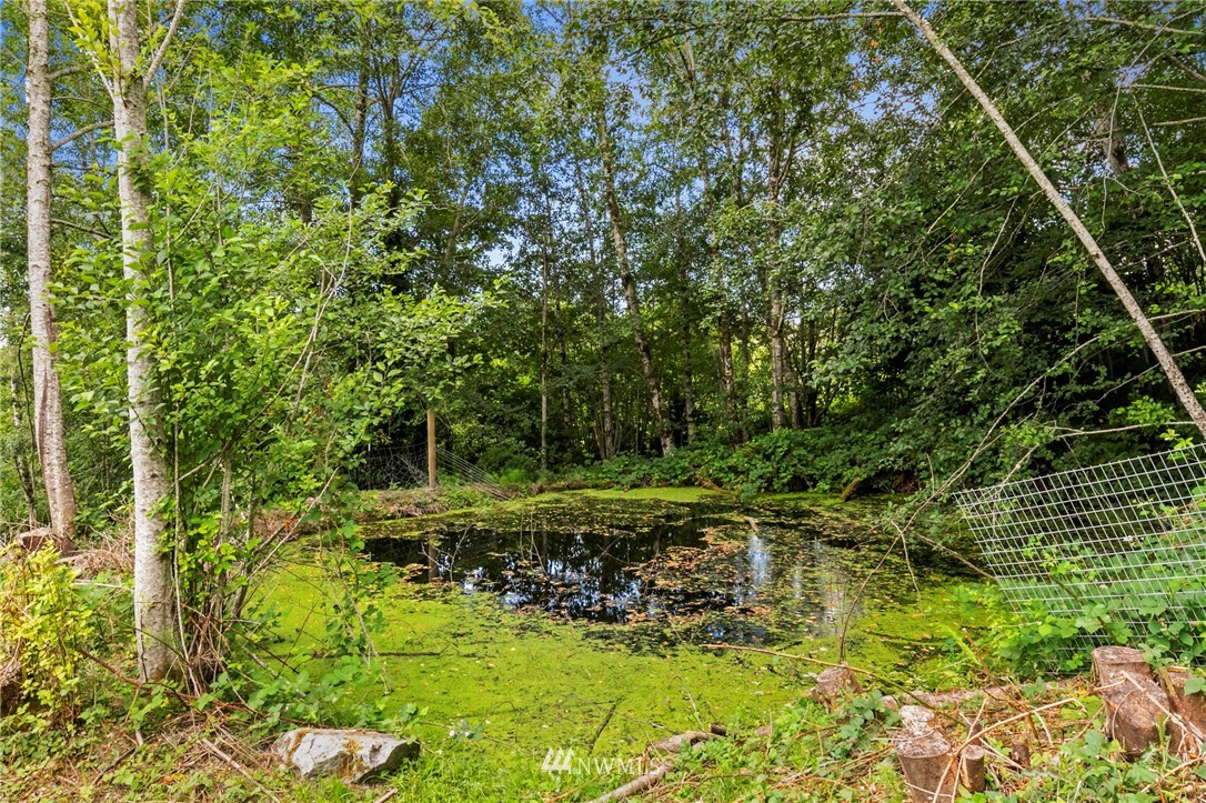 3991 East Grapeview Loop Road Grapeview, WA 98546 - Photo 31 of 31 Gallery Image 31