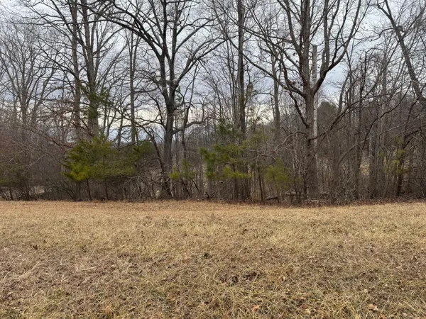 a yard with trees in the background