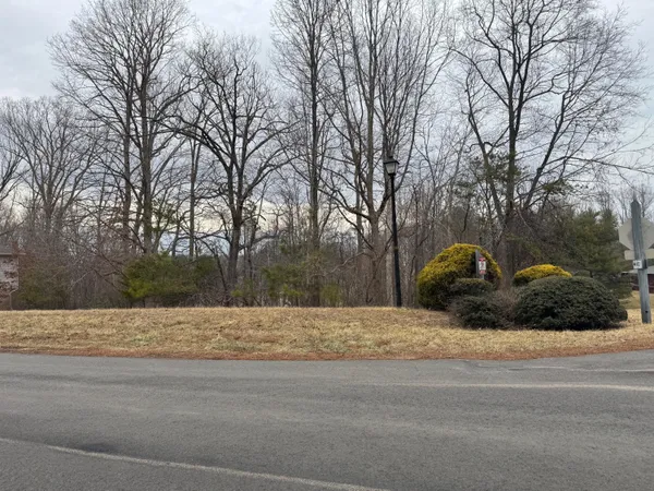 a view of a yard with a house