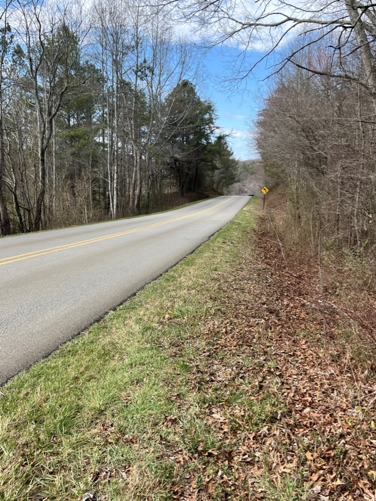 19.24-ac Roy Road Ellijay, GA 30536 - Photo 14 of 21