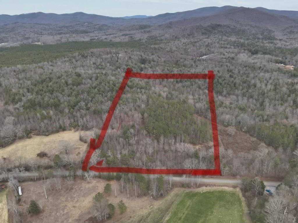 19.24-ac Roy Road Ellijay, GA 30536 - Photo 18 of 21