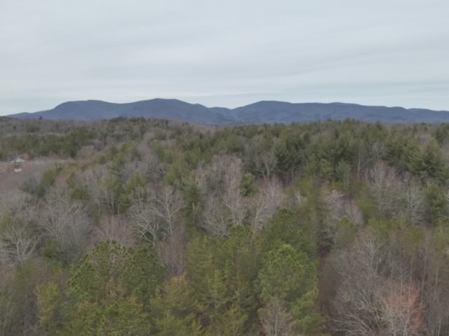 19.24-ac Roy Road Ellijay, GA 30536 - Photo 19 of 21
