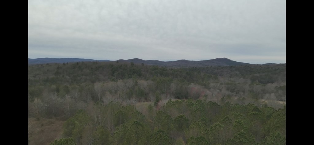 19.24-ac Roy Road Ellijay, GA 30536 - Photo 20 of 21
