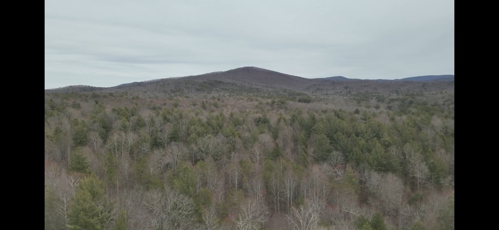 19.24-ac Roy Road Ellijay, GA 30536 - Photo 21 of 21