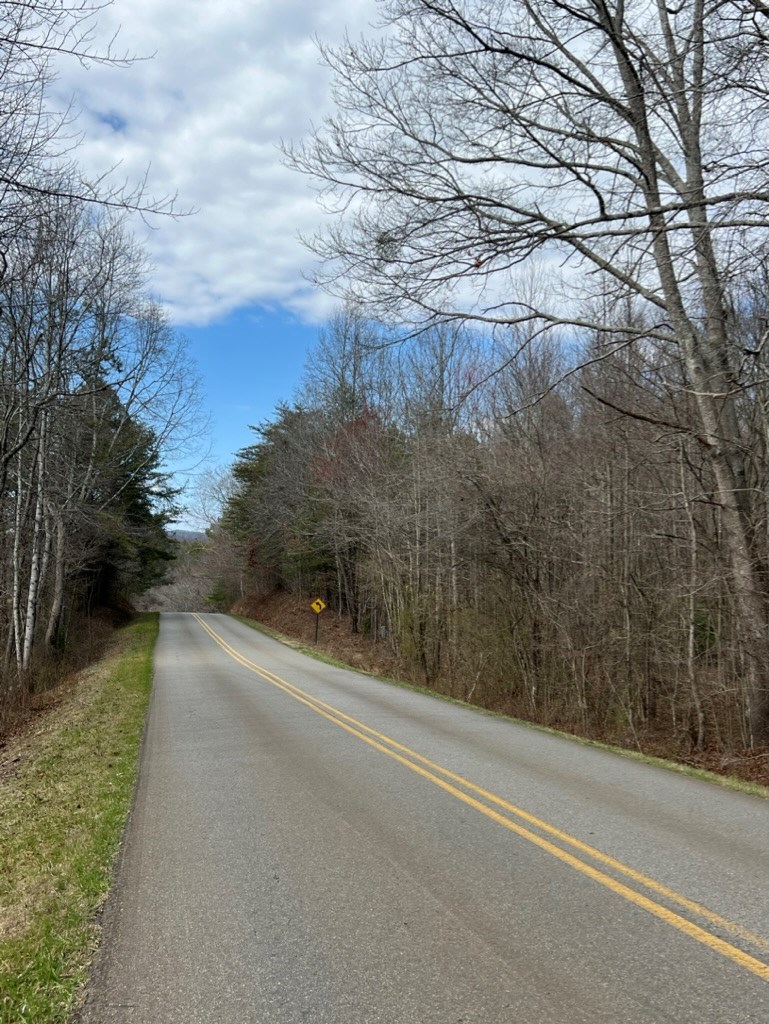 19.24-ac Roy Road Ellijay, GA 30536 - Photo 3 of 21
