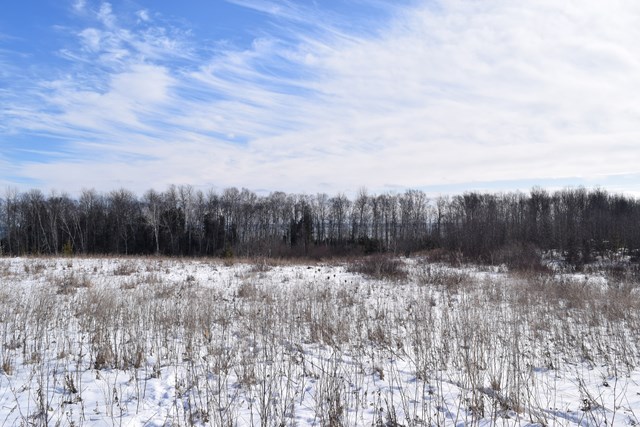 Lot 1 County Road Algoma, WI 54201 - Photo 9 of 13