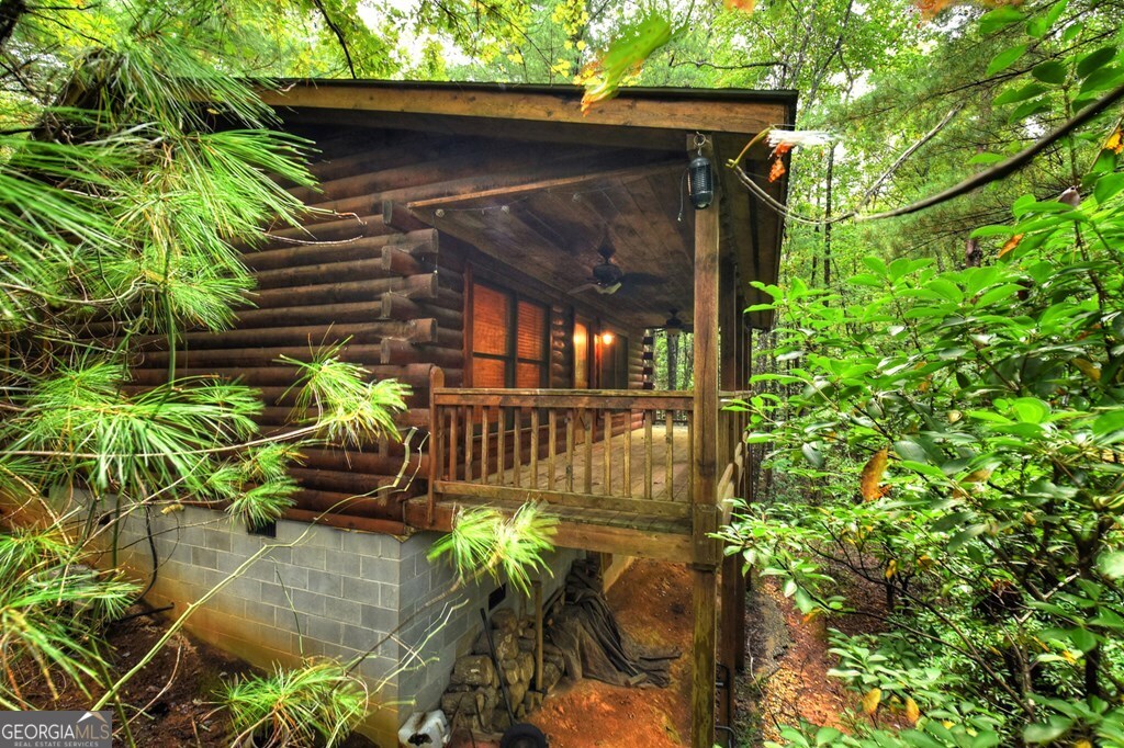 63 Posey Road Blue Ridge, GA 30513 - Photo 6 of 21 a backyard of a house with lots of green space