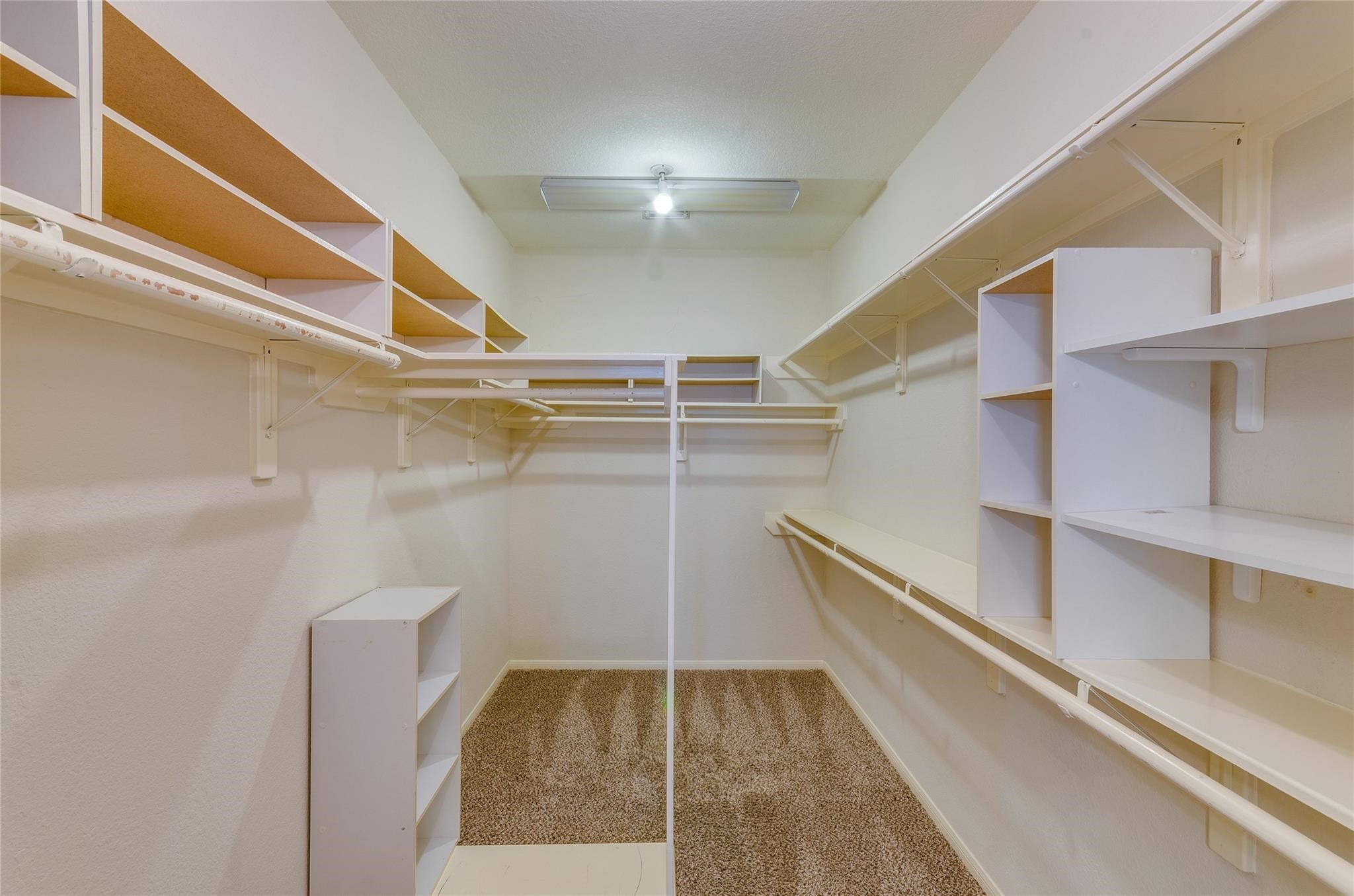 4019 Angel Spring Drive Sugar Land, TX 77479 - Photo 24 of 50 a view of walk in closet
