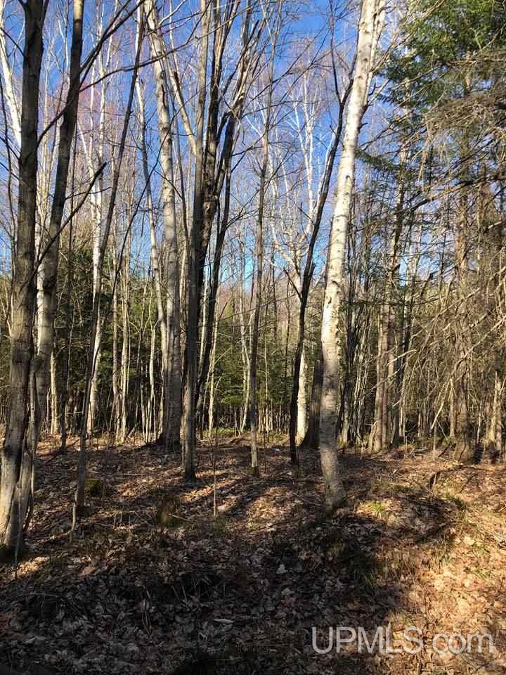 Tbd Ee 25 Road Rapid River, MI 49878 - Photo 3 of 14