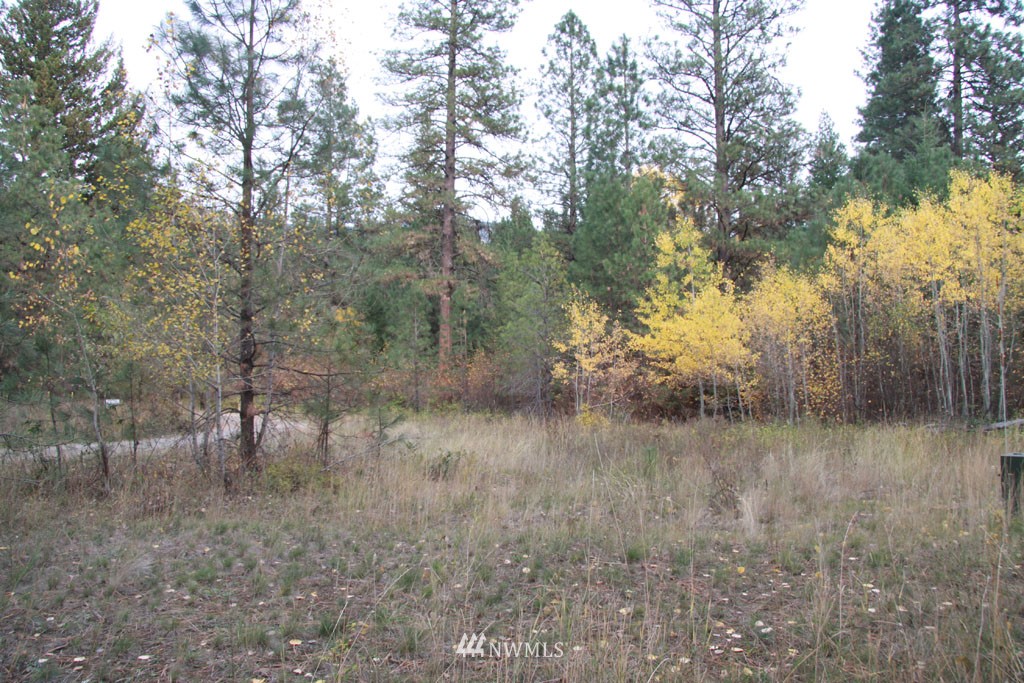 1 Methow Ranch Road Winthrop, WA 98862 - Photo 1 of 25 Gallery Image 1