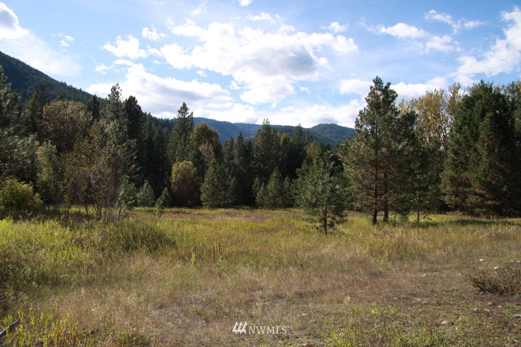 1 Methow Ranch Road Winthrop, WA 98862 - Photo 11 of 25 Gallery Image 11