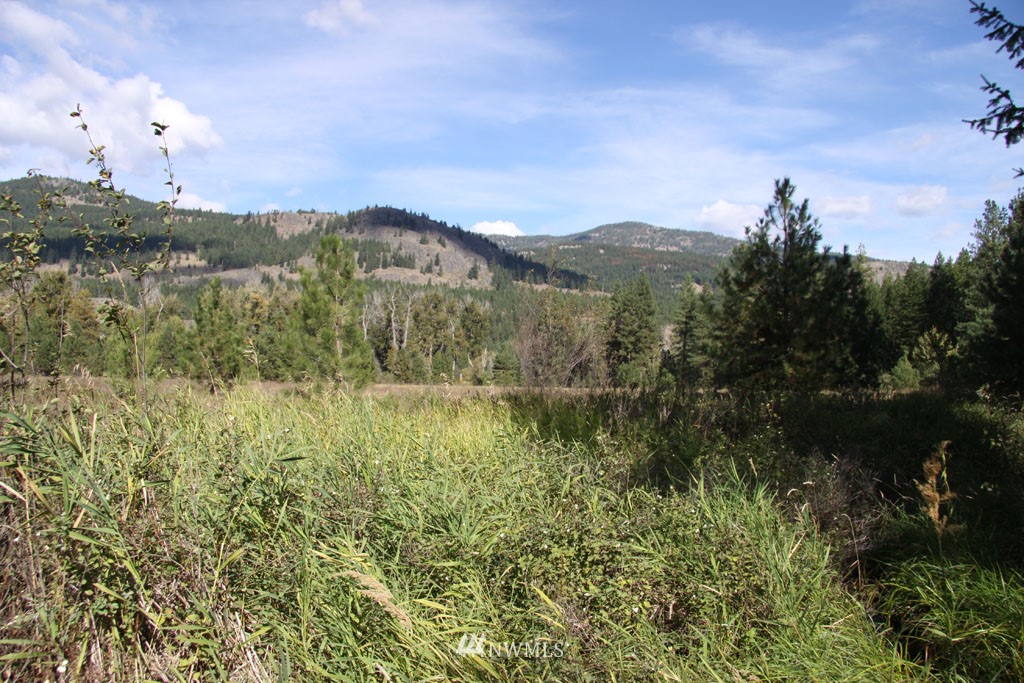 1 Methow Ranch Road Winthrop, WA 98862 - Photo 14 of 25 Gallery Image 14