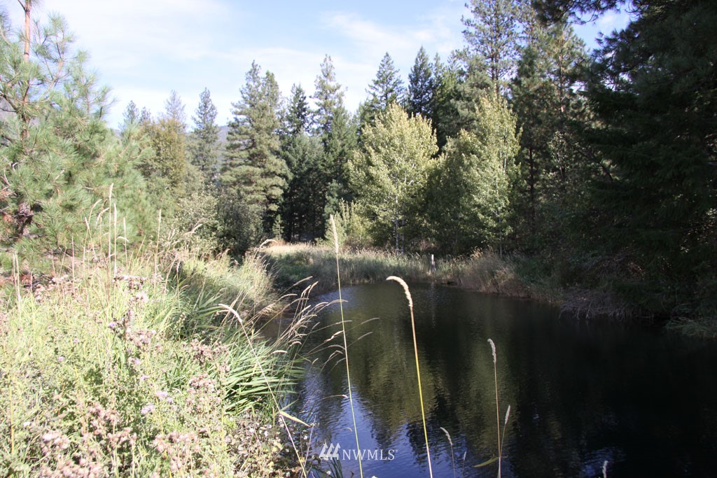 1 Methow Ranch Road Winthrop, WA 98862 - Photo 16 of 25 Gallery Image 16