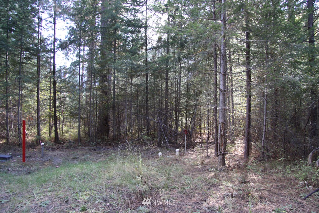 1 Methow Ranch Road Winthrop, WA 98862 - Photo 17 of 25 Gallery Image 17